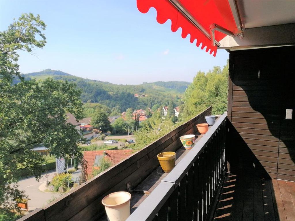 Top Ferienwohnung Mit Tiefgaragenstellplatz, Auch Fuer Laengere Aufenthalte Засбахвальден Екстер'єр фото